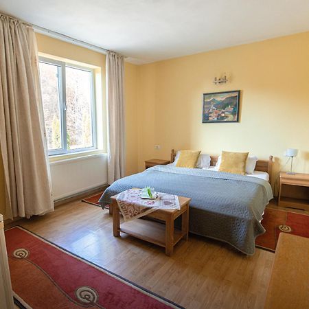Pensiunea Limpedea Baia-Sprie Exteriér fotografie