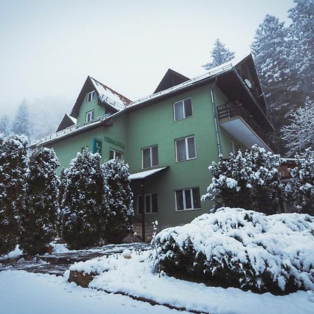 Pensiunea Limpedea Baia-Sprie Exteriér fotografie