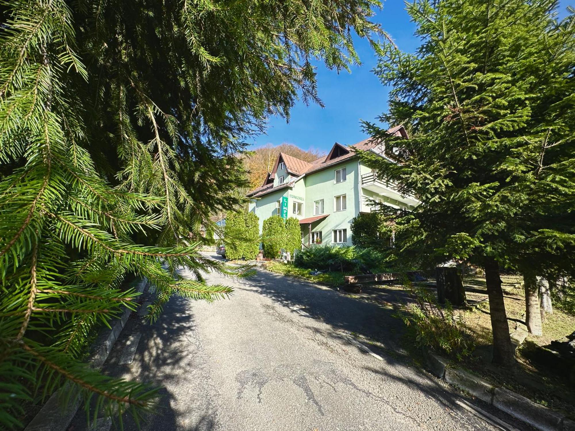 Pensiunea Limpedea Baia-Sprie Exteriér fotografie