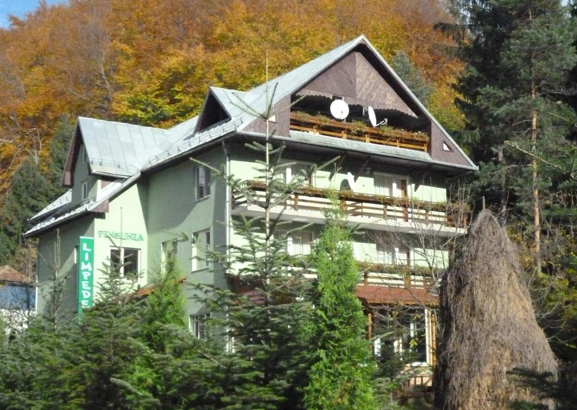 Pensiunea Limpedea Baia-Sprie Exteriér fotografie
