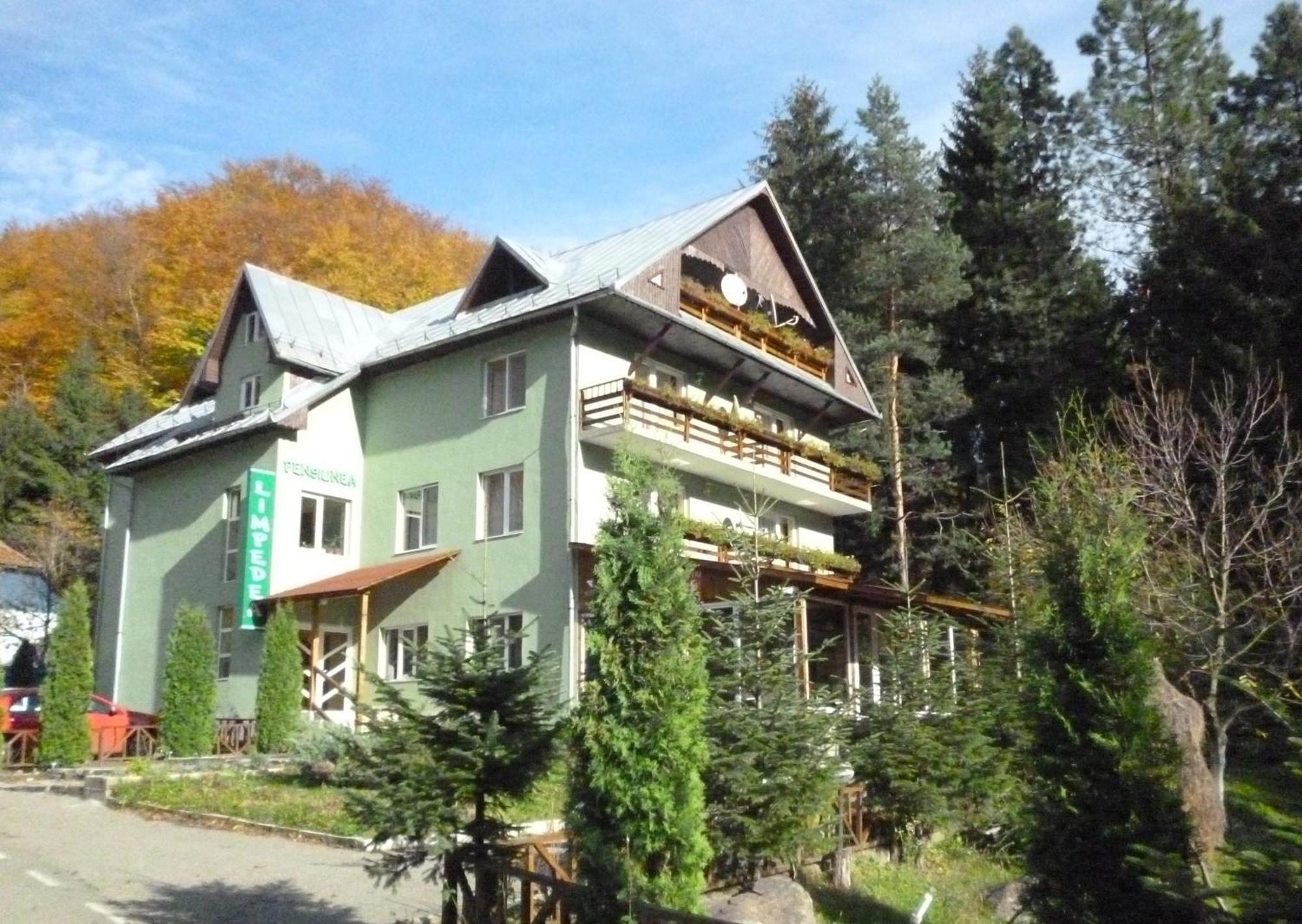 Pensiunea Limpedea Baia-Sprie Exteriér fotografie