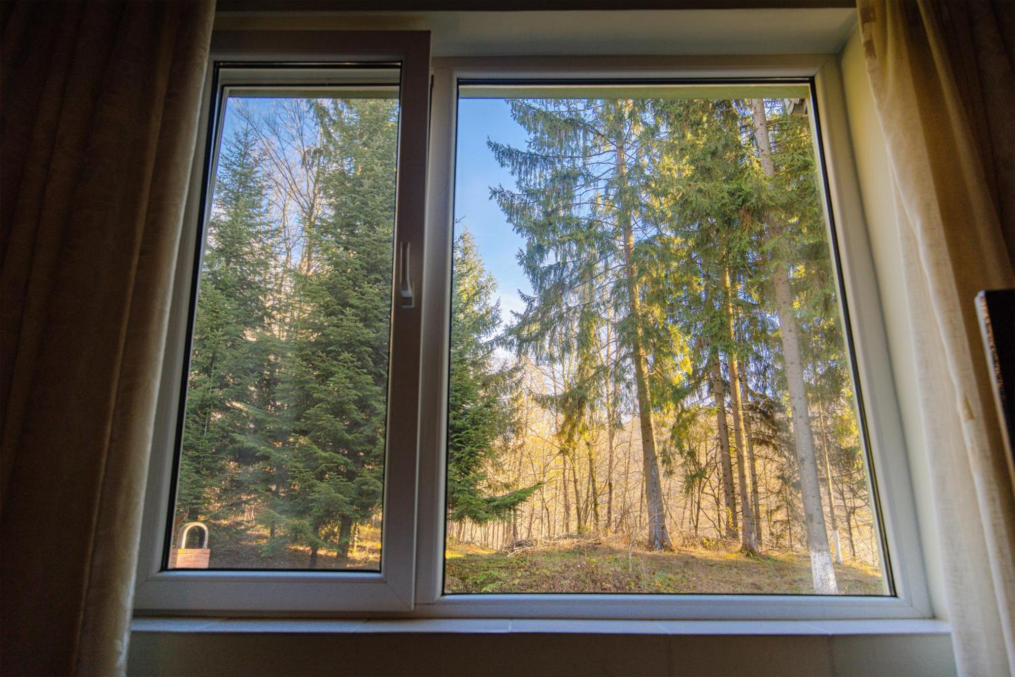 Pensiunea Limpedea Baia-Sprie Exteriér fotografie