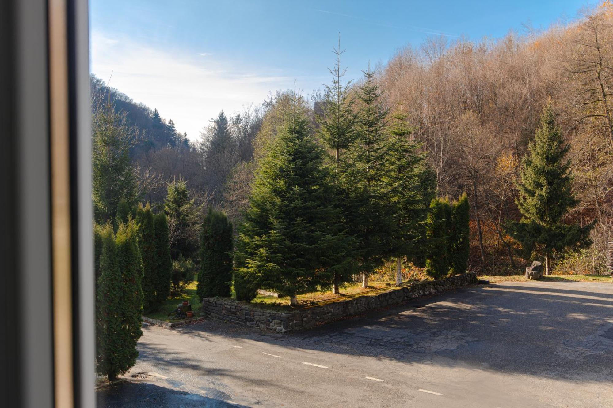 Pensiunea Limpedea Baia-Sprie Exteriér fotografie