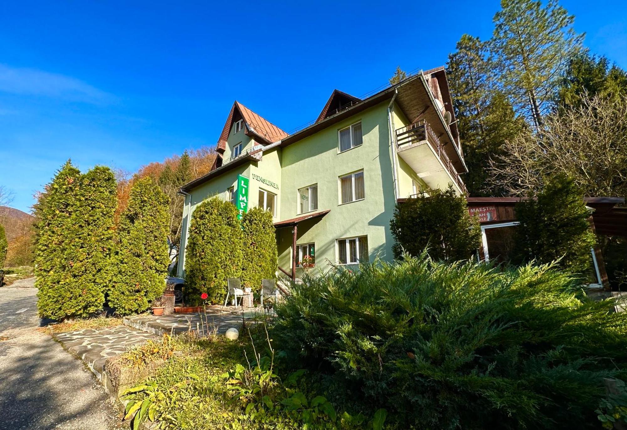 Pensiunea Limpedea Baia-Sprie Exteriér fotografie