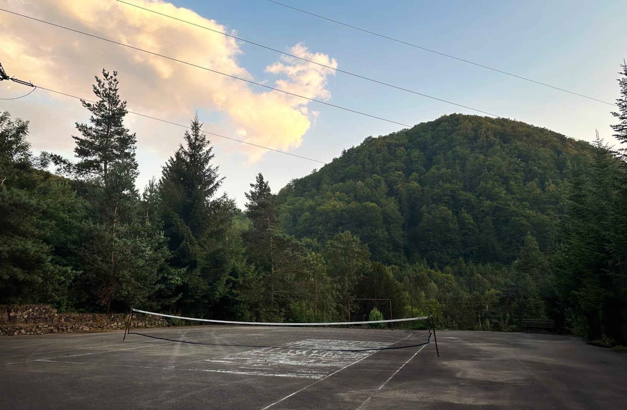 Pensiunea Limpedea Baia-Sprie Exteriér fotografie