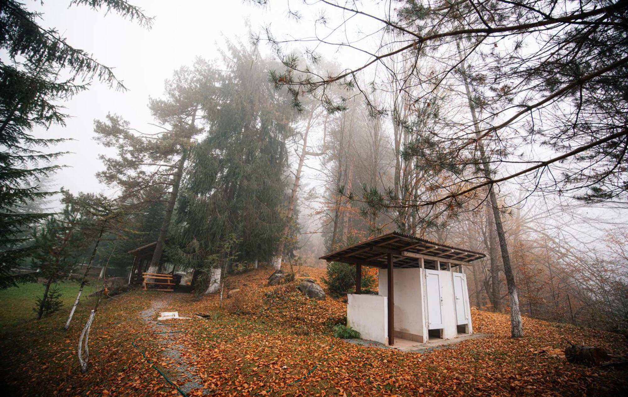 Pensiunea Limpedea Baia-Sprie Exteriér fotografie